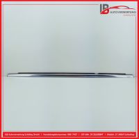 Zier-/Schutzleiste f�r T�rscheibe H.L<br>MERCEDES R-KLASSE W251,V251 R320 CDI 4MATIC