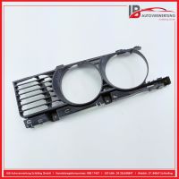 K�hlergrill vorne links<br>BMW 5ER E39
