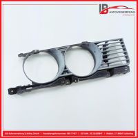 K�hlergrill vorne rechts<br>BMW 5ER E39