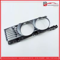 K�hlergrill vorne links<br>BMW 5ER E39