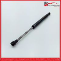 D�mpfer Heckt�r <br>MERCEDES BENZ E-KLASSE W211 E220 CDI