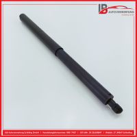 Sto�d�mpfer Heckklape<br>MERCEDES BENZ M-KLASSE W164 ML 320 CDI 4MATIC