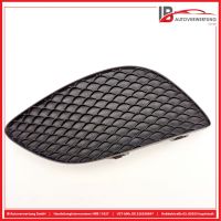 Sto�stange vorne Links Grill Abdeckung<br>MERCEDES-BENZ E250 CABRIOLET A207