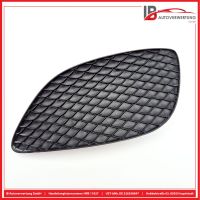 Sto�stange vorne Grill Abdeckung<br>MERCEDES-BENZ E250 CABRIOLET A207