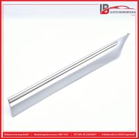 Zierleiste T�rleiste HL IRIDIUM-SILBER<br>MERCEDES-BENZ COUPE CL203 C180 KOMP